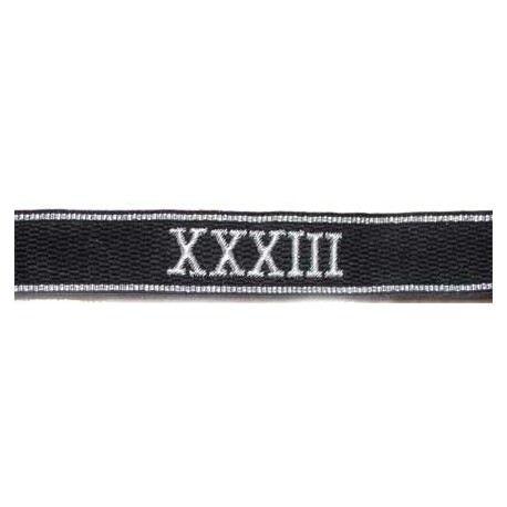 Allgemeine SS cuff title