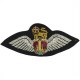 AAC SNCO MESS WINGS NAVY BLUE