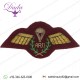 APJI Gold On PARA Maroon Badge