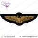 Navy NFO Wings of Gold, Handmade Metal Thread Bullion Wire, Naval Flight Officer, Marine Aviation
