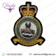 Royal Air Force Tactical Supply Wing Blazer Badge RAF Embroidered Bullion Badge