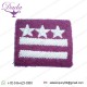 POLISH AIRBORNE TROOPS RANK BERET INSIGNIA COLONEL