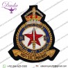 RAF 81 Squadron Blazer Badge