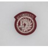 5 COMMANDO WILD GEESE CLOTH MIKE HOARE BELGIUM CONGO MERCENARY BERET BADGE