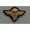 Paratroopers Airborne Badge Cambodia Instructor