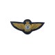 BRUNEI AIR FORCE FULL SIZE HAND EMBROIDERED WINGS BADGES