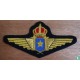 Armed Forces of the Republic of the Congo Wing Badge