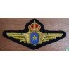 Armed Forces of the Republic of the Congo Wing Badge