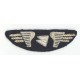 AIR INTER French Defunct Airlines Pilot Wings Patch