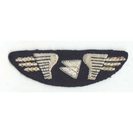 AIR INTER French Defunct Airlines Pilot Wings Patch