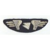 AIR INTER French Defunct Airlines Pilot Wings Patch