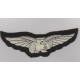RAF Guinea Pig Club blazer badge